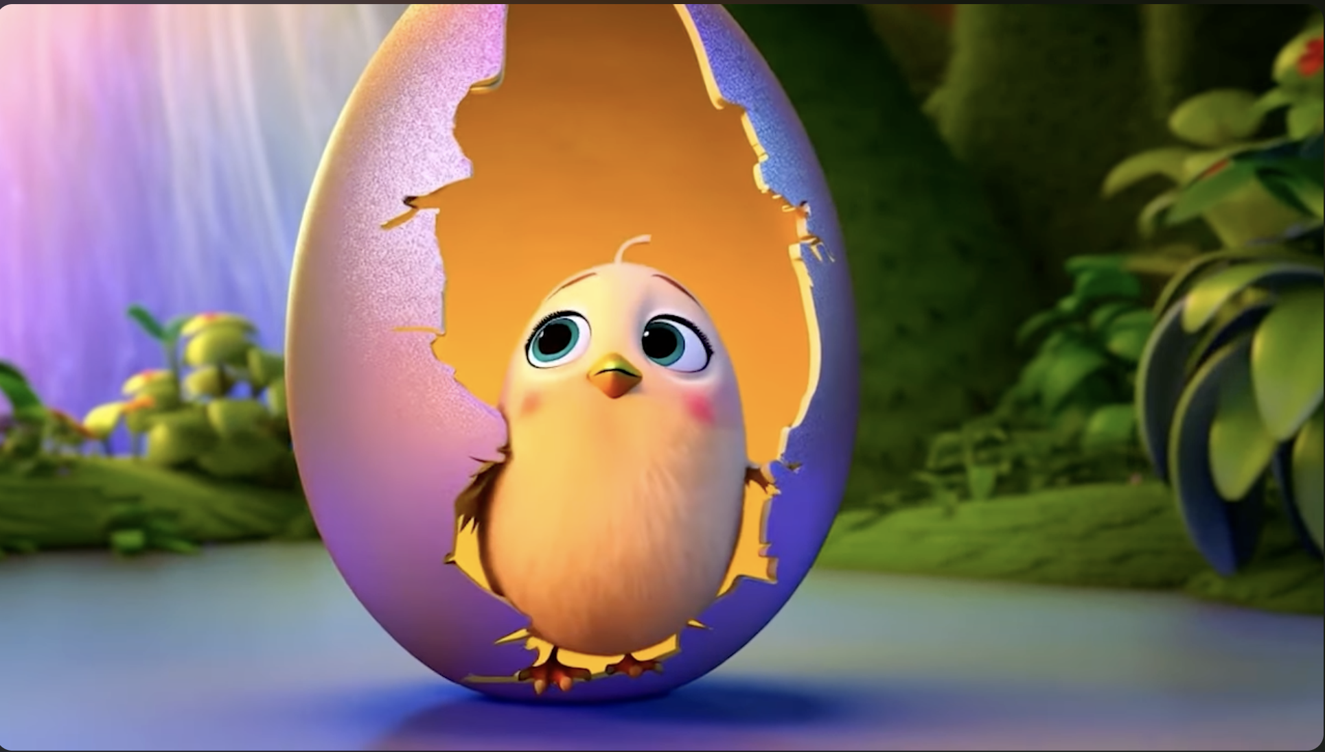 The Little Chick’s First Day in the Big World
